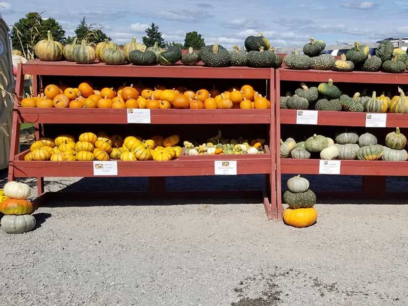 Fruit Ridge Hayrides