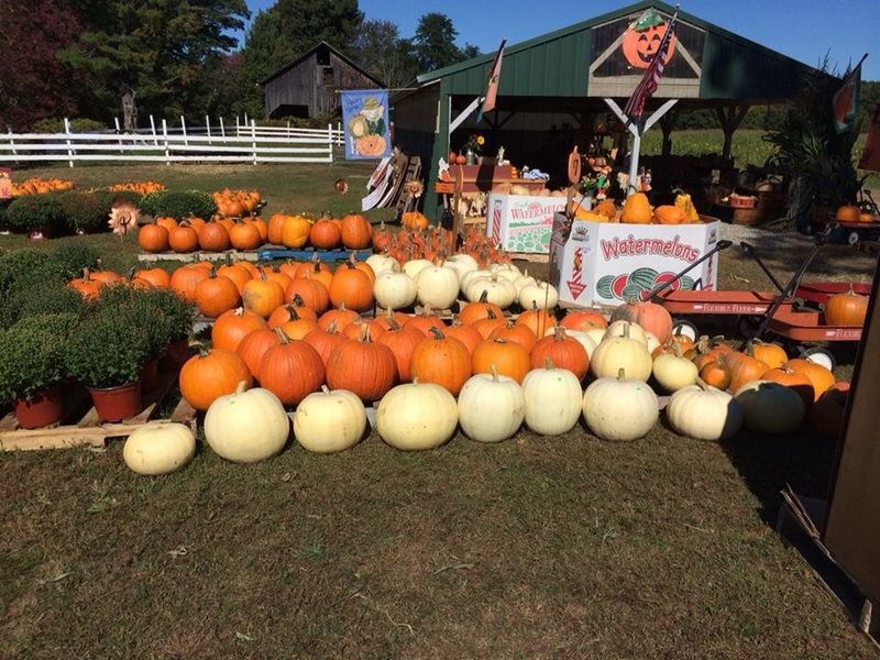 A Community Tradition