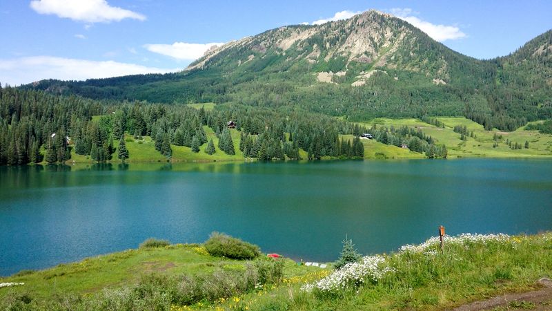 Trout Lake: Crystal Waters of the North