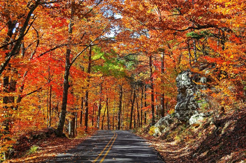 Scenic Fall Foliage Drives