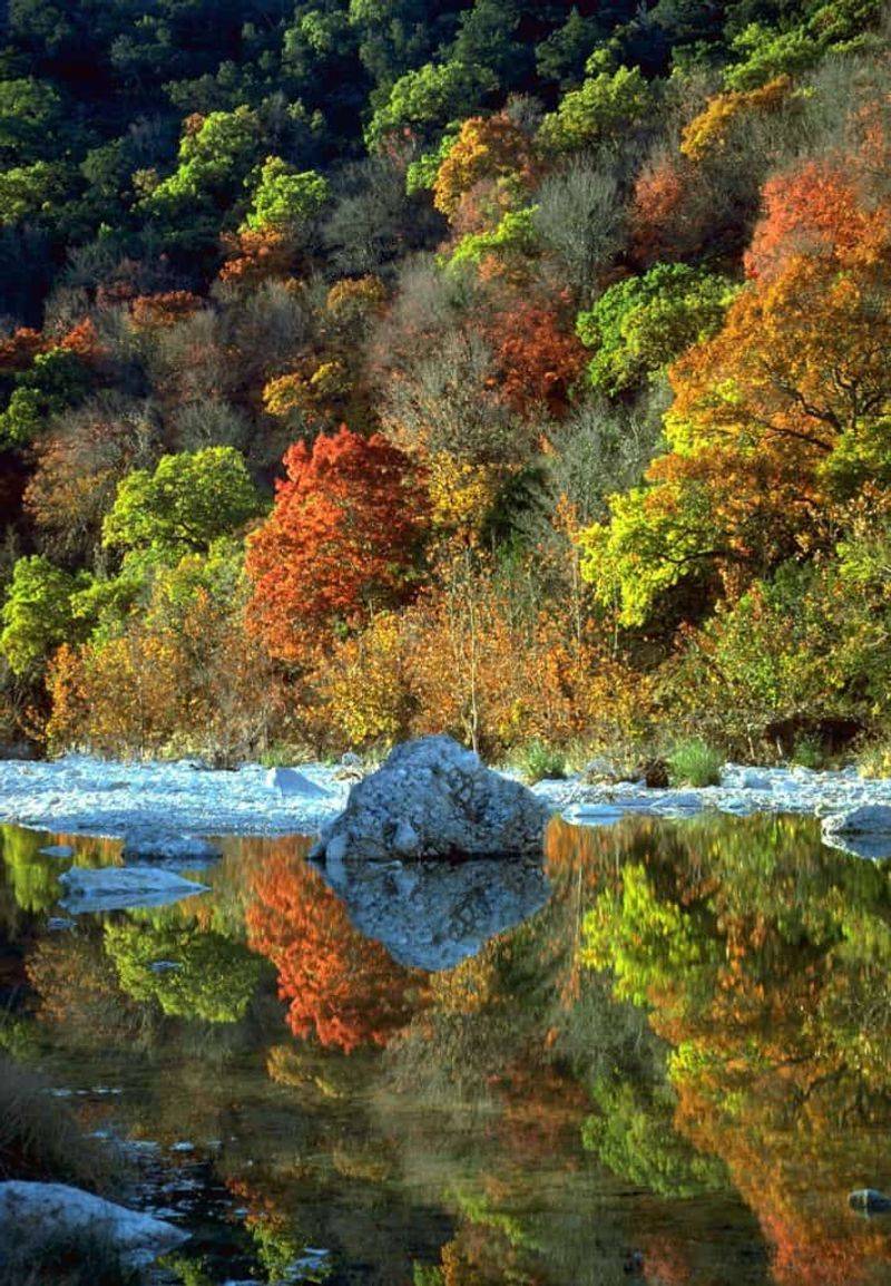 Lost Maples State Natural Area