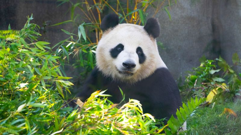 Conservation Connection with Real Impact