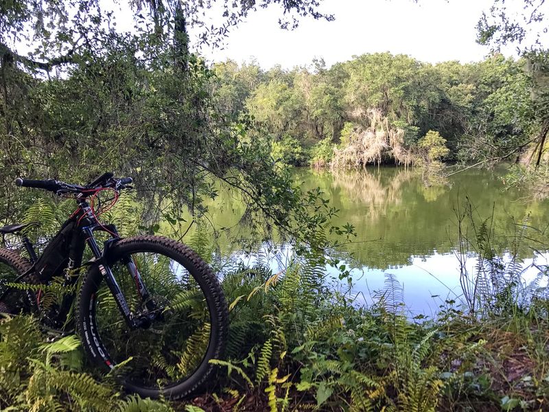 Balm-Boyette Scrub Nature Preserve (Hillsborough County)