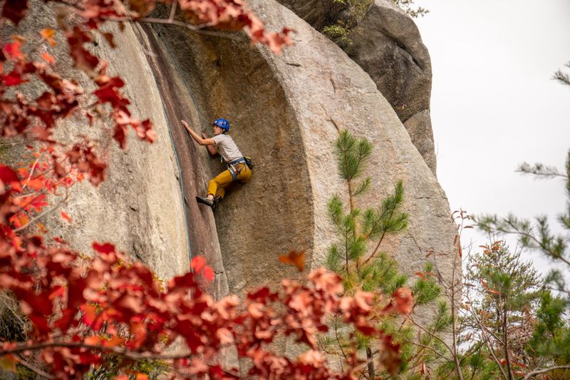 Rock Climbing Adventures for Thrill Seekers