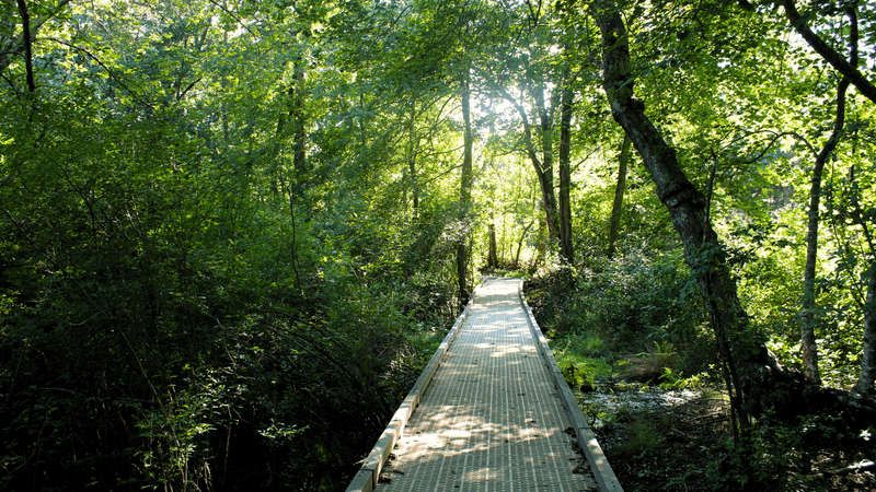 Embrace Accessible Nature Adventures