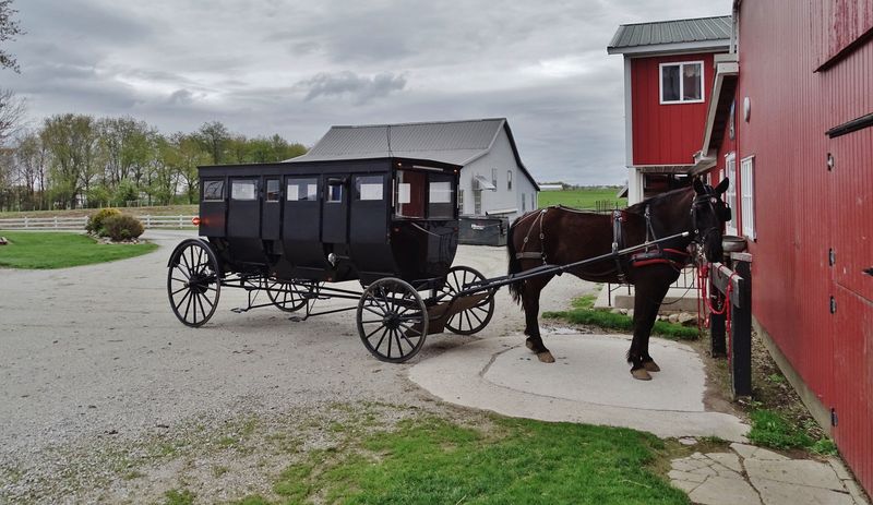 Take an Authentic Amish Buggy Ride