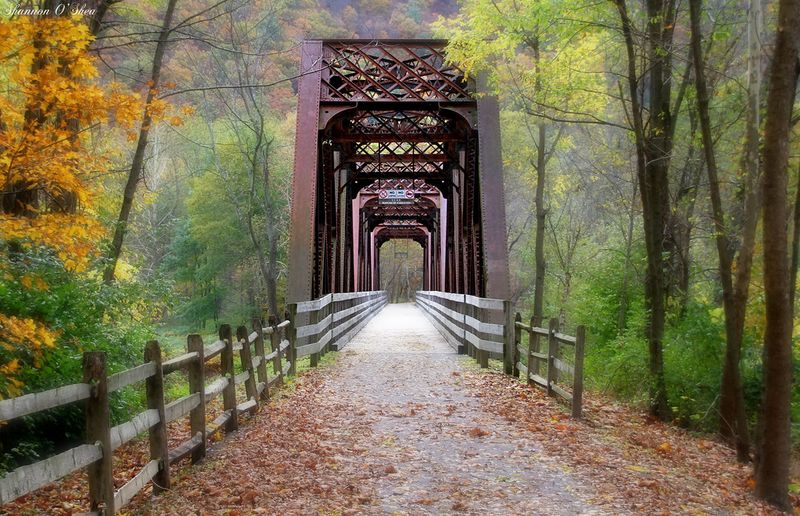 Cedar Run Offers Wilderness Adventures
