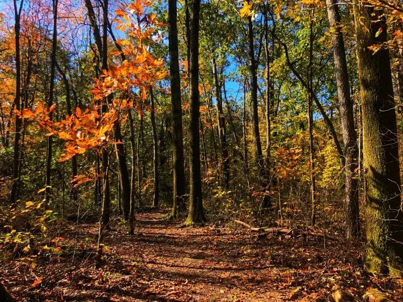 Thirty Miles Of Hiking Trails Await
