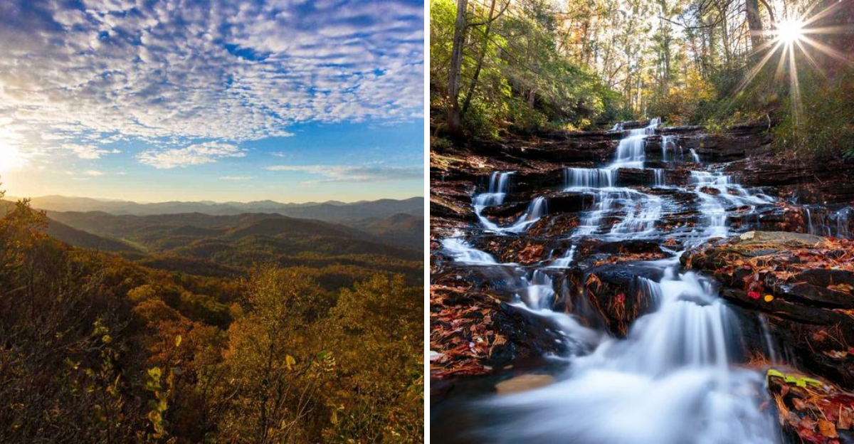 Fall Foliage Paints Black Rock Mountain In Georgia With Brilliant Color