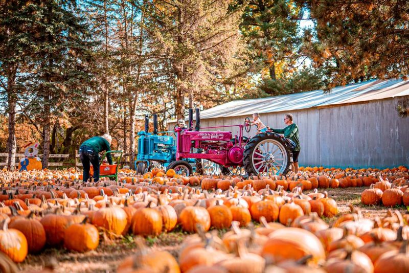 Farm-Fresh Fall Activities Beyond the Maze