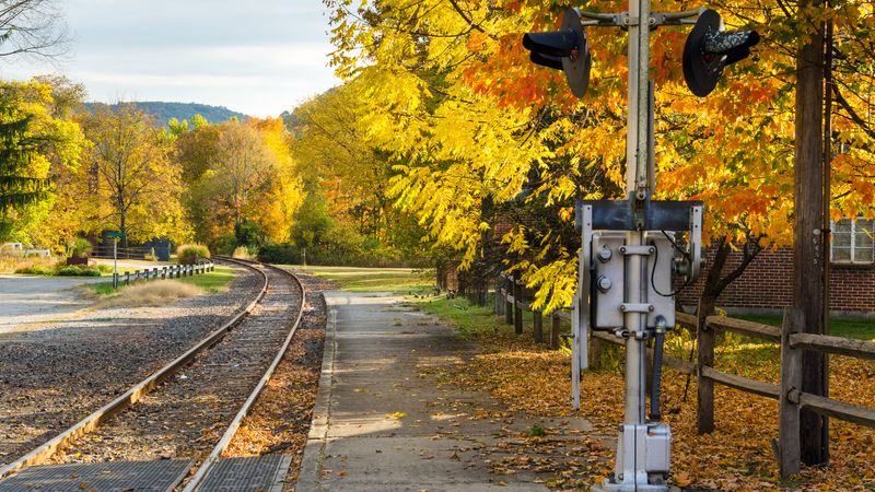 Budget-Friendly Ticket Options