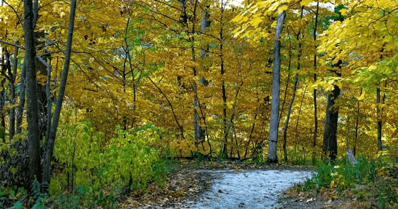 Four-Season Recreational Paradise