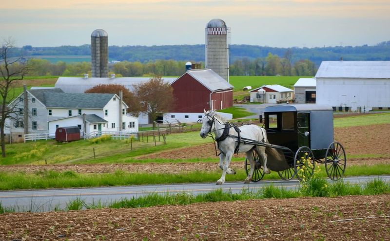 Scenic Countryside Drives Refresh The Soul