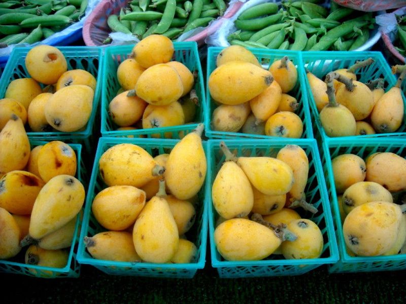 Loquats