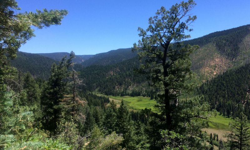 Journey Through Mountain Meadows