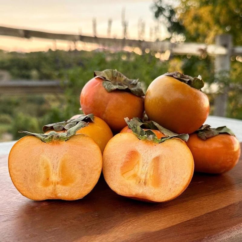 Fuyu Persimmons