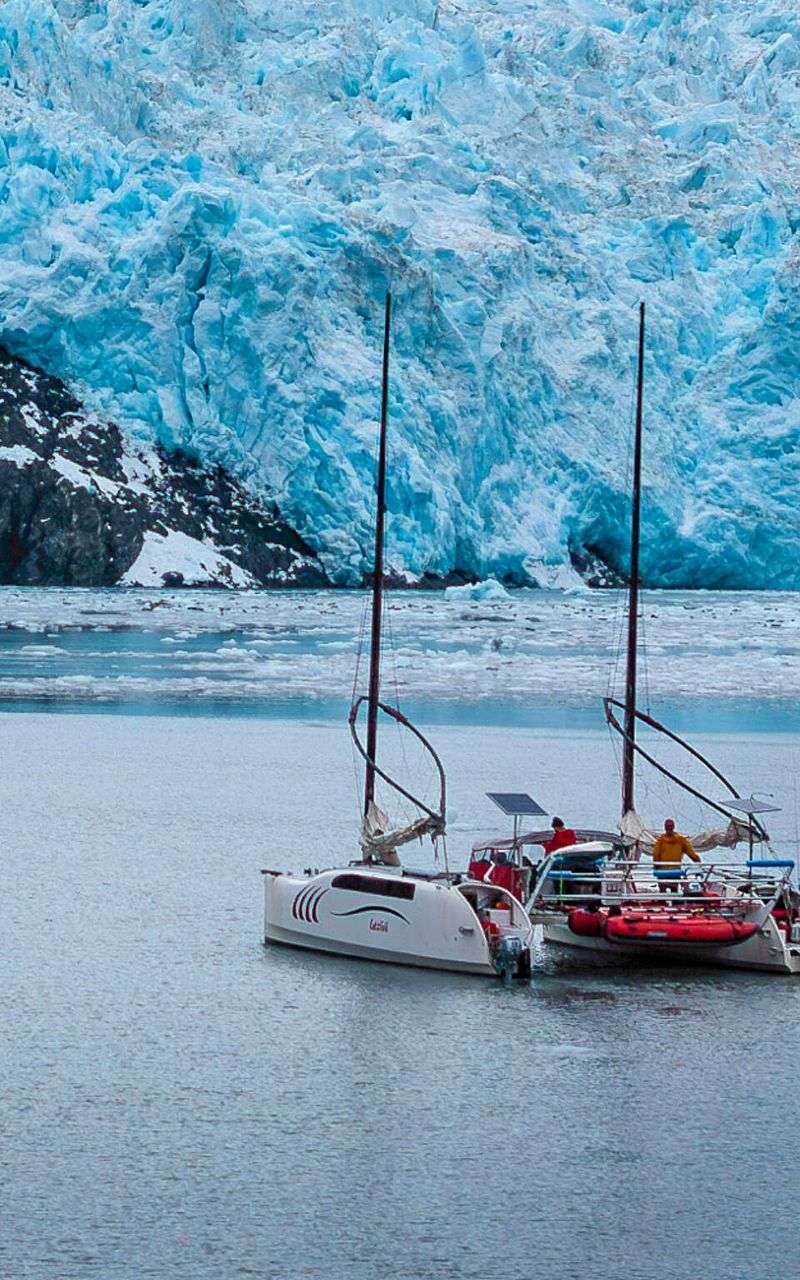Boat or Catamaran Cruises