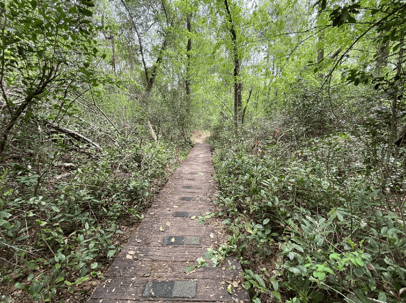 Trails That Tell Stories