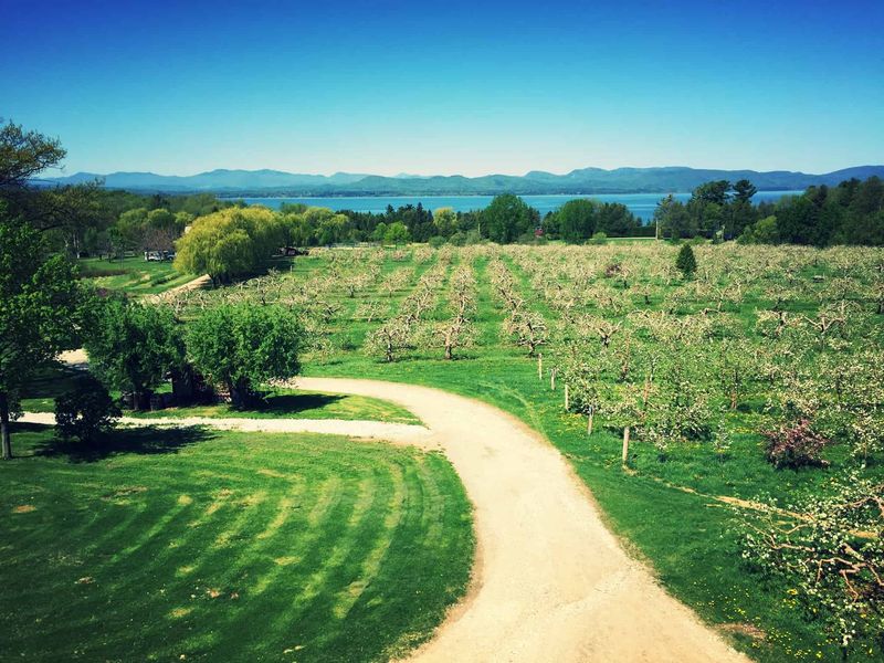 Shelburne Orchards (Vermont)
