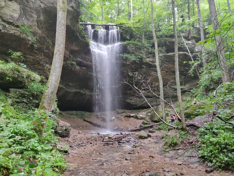 Shaded Forests and Cascading Waterfalls