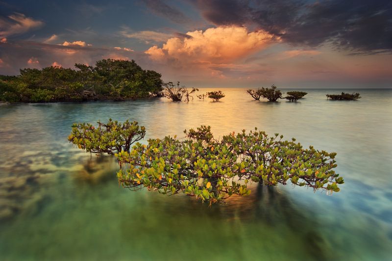 Biscayne National Park, A World Of Water