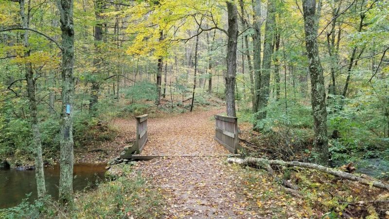 Twilight Terrors Trail Loop