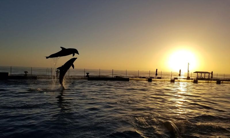 Marine Wonders at Marineland