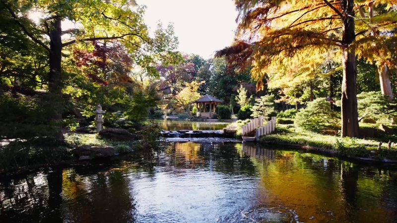 Fort Worth Botanic Garden And Japanese Garden