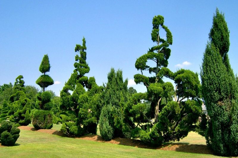 Preserving a Living Legacy