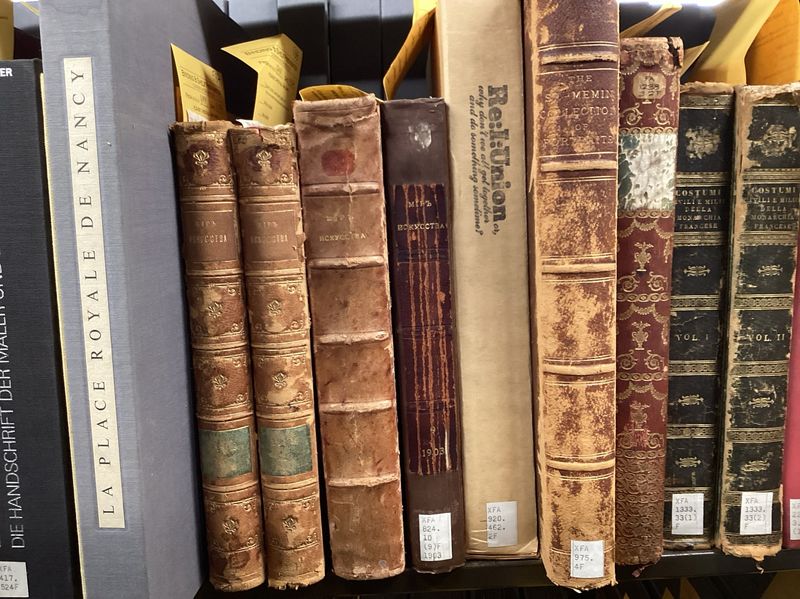 The Research Library That Takes Cat Knowledge Seriously