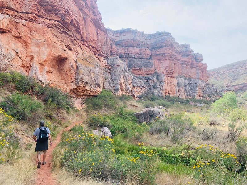 Stunning Natural Playgrounds