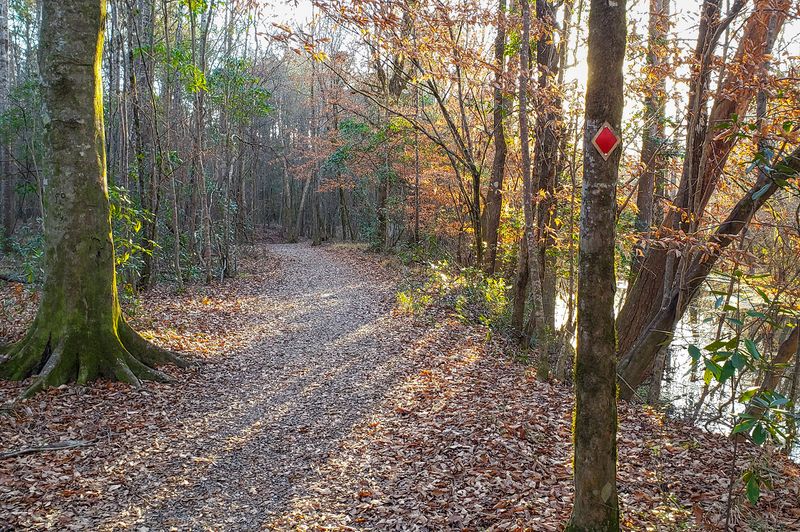 Trails for Every Kind of Explorer