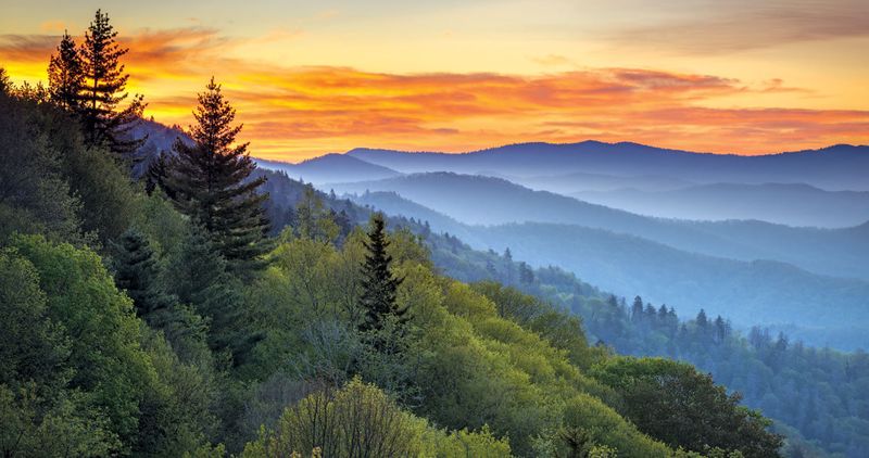 Great Smoky Mountains National Park