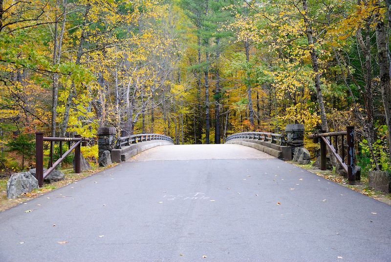 Shelburne Falls Steals the Spotlight