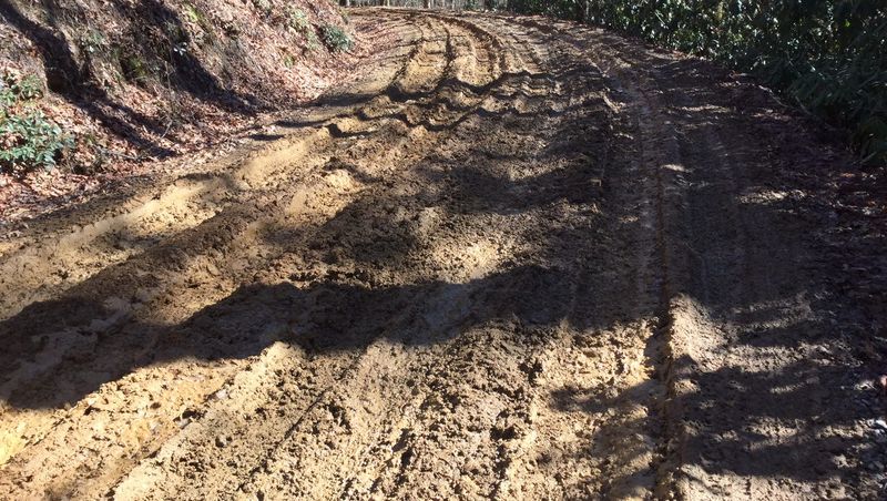 Road Conditions Worth Knowing