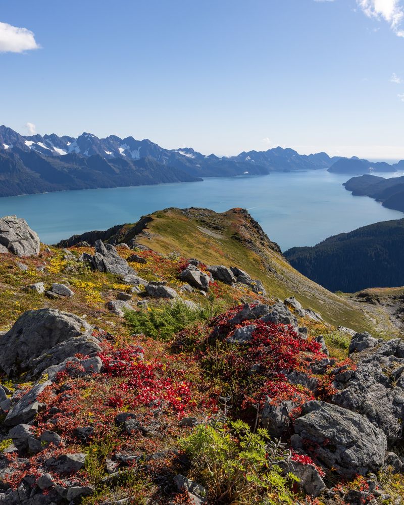 Seward