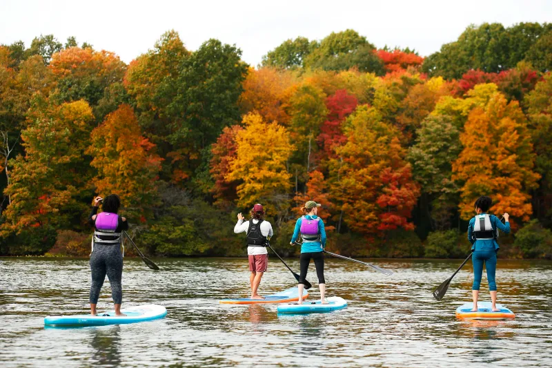 Lake Arthur Shoreline Spans Forty-Two Miles