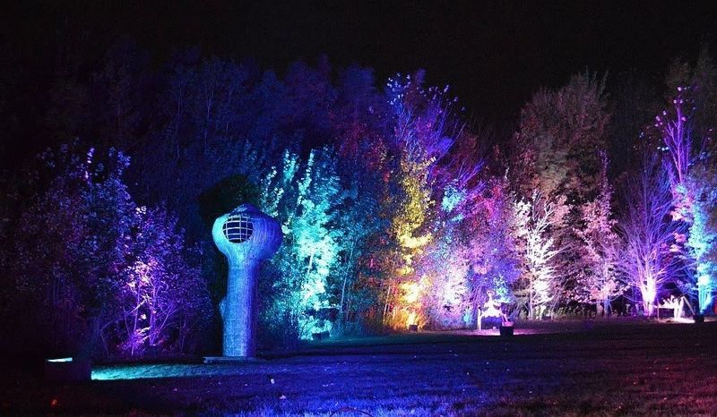 Magical Forest Pathways