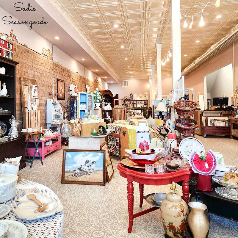 Cause for Paws: Pet-Loving Bargain Hunters' Paradise