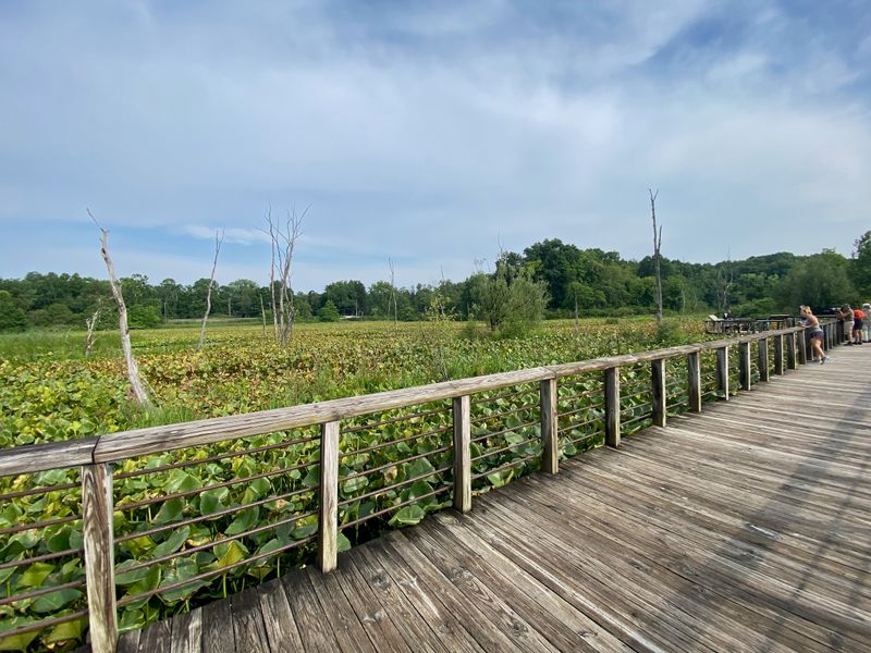 Beaver Marsh at Cuyahoga Valley National Park