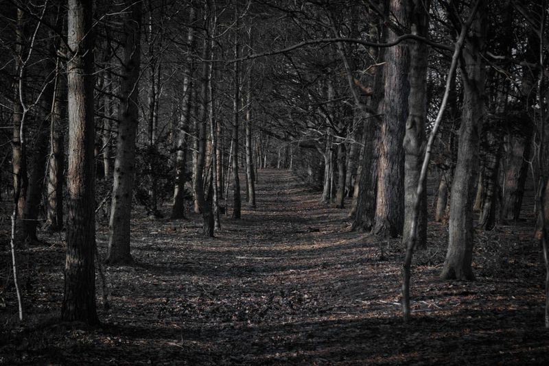 Pappy's Haunted Trails (NC)