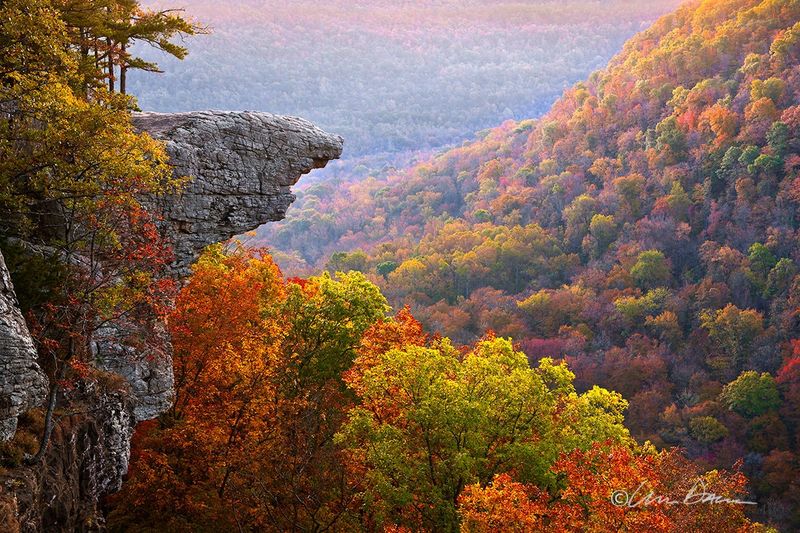 Ozark Mountains' Hidden Treasure