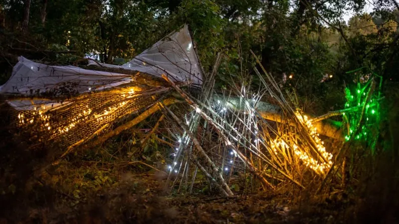 Enchanted Forest Experience
