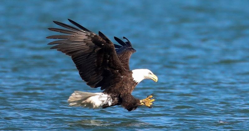 Wildlife Photography Paradise