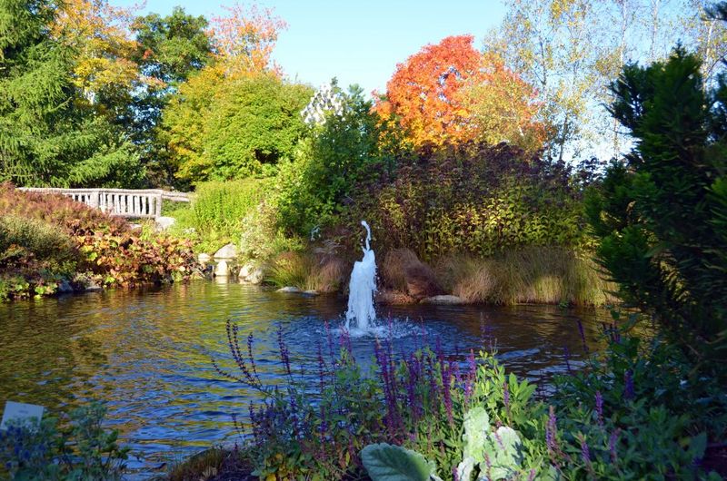 Coastal Maine Botanical Gardens In Boothbay