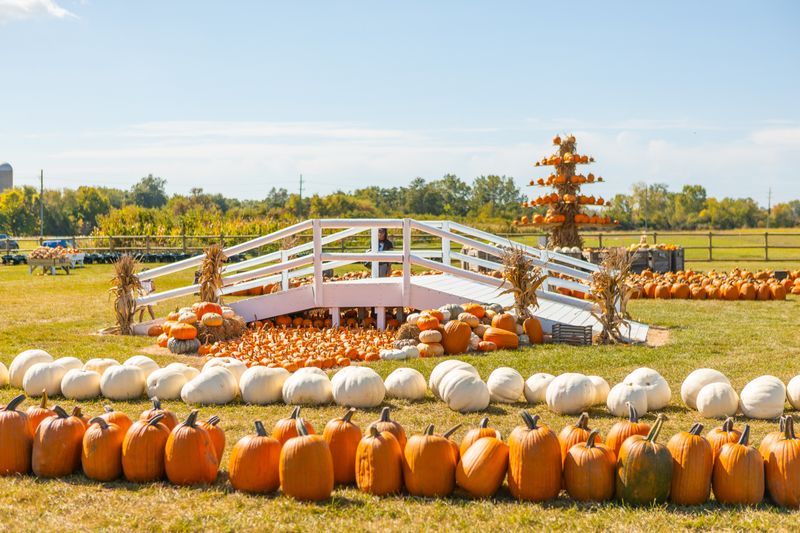 DeBuck's Family Farm, Belleville, Michigan
