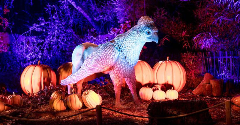 Magical Creatures Meet Interactive Spell-Casting