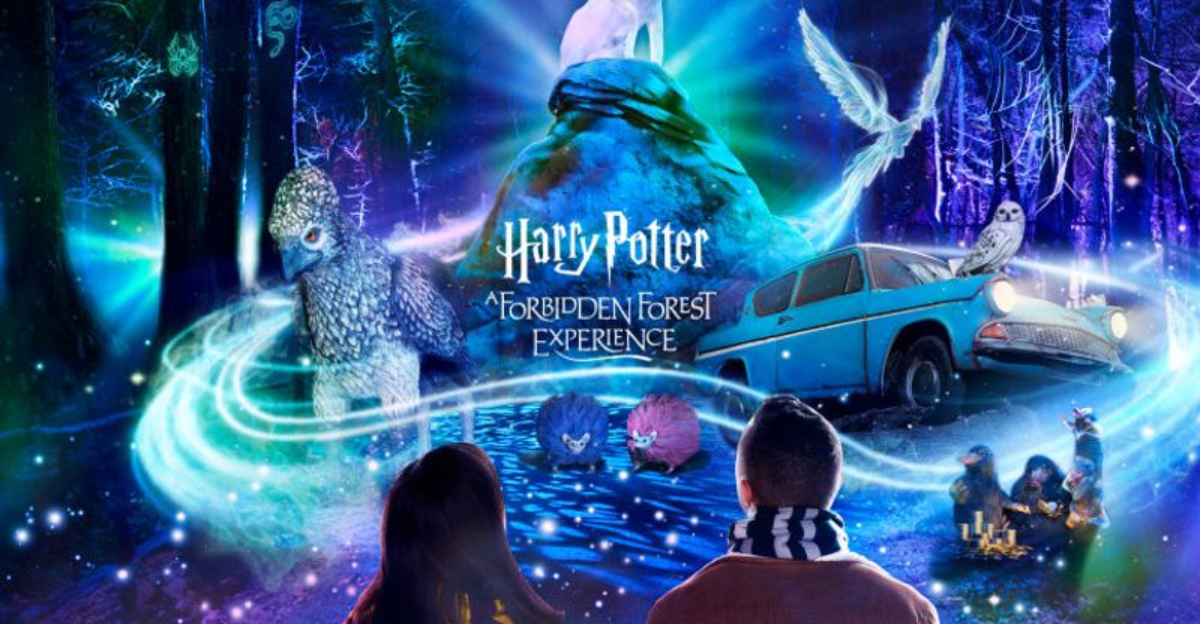 Harry Potter’s Wizarding World Experience Transforms Illinois Woodland This October
