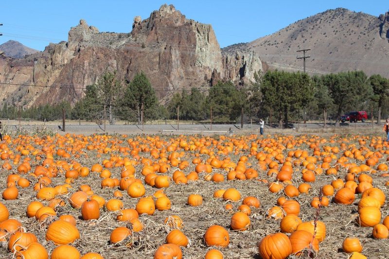 Weekend-Only Attractions Worth Planning Around