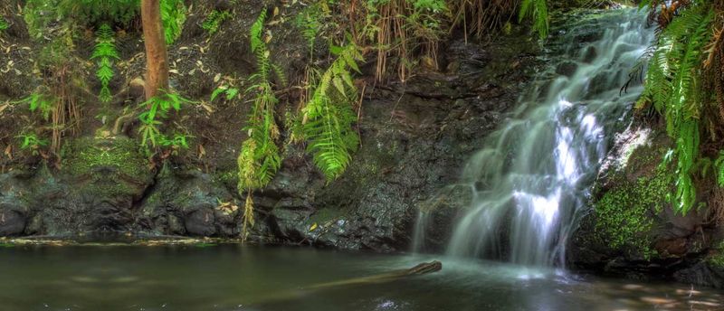 Tiptoe Falls (Portola Redwoods State Park)